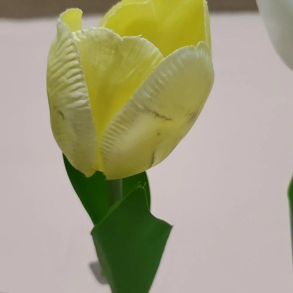 3 Faux Potted Tulip Bulbs